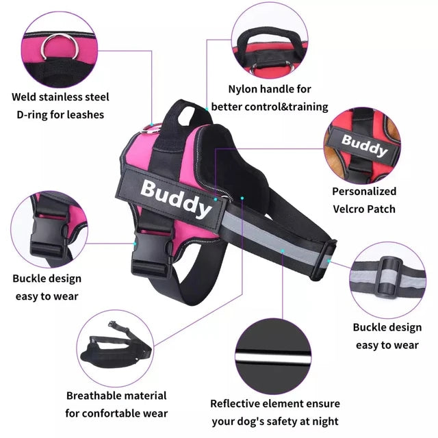 ACME ESSENTIALS™ - PERSONALIZED NO Pull Dog Harness