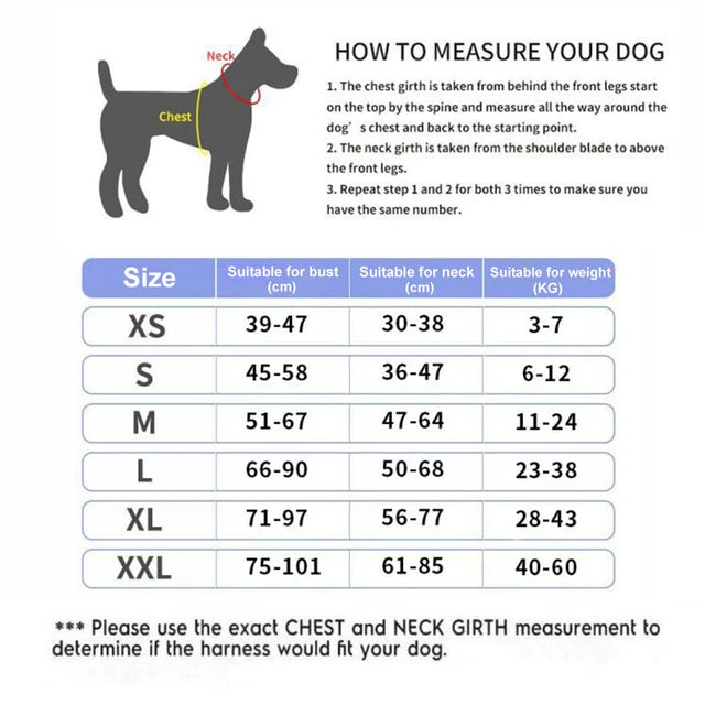 ACME ESSENTIALS™ - PERSONALIZED NO Pull Dog Harness