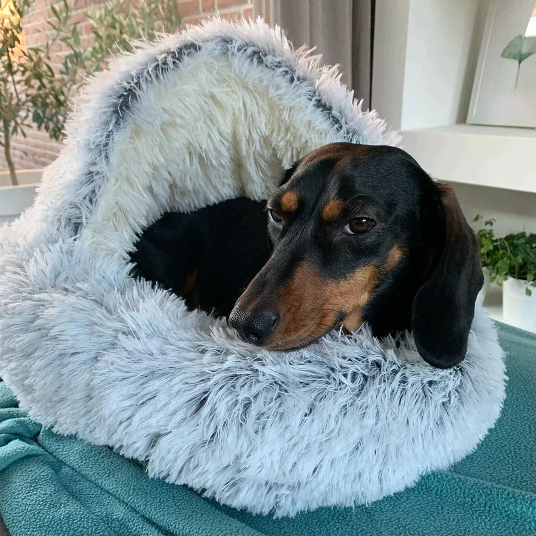 ACME ESSENTIALS™ - THE PREMIUM PET BED